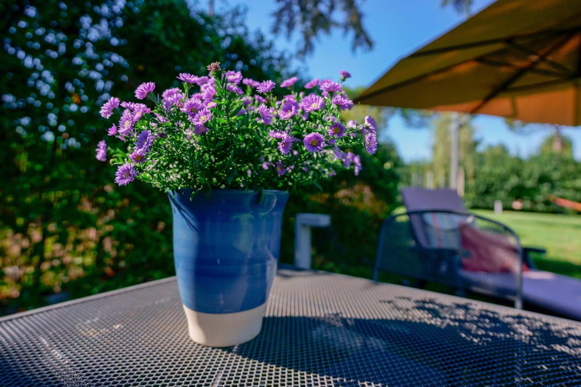 Pixel B&B Ravenna Dış mekan fotoğraf